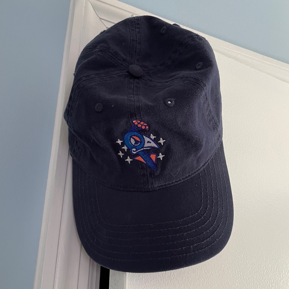 Carolina Disco Turkeys Dad Hat
